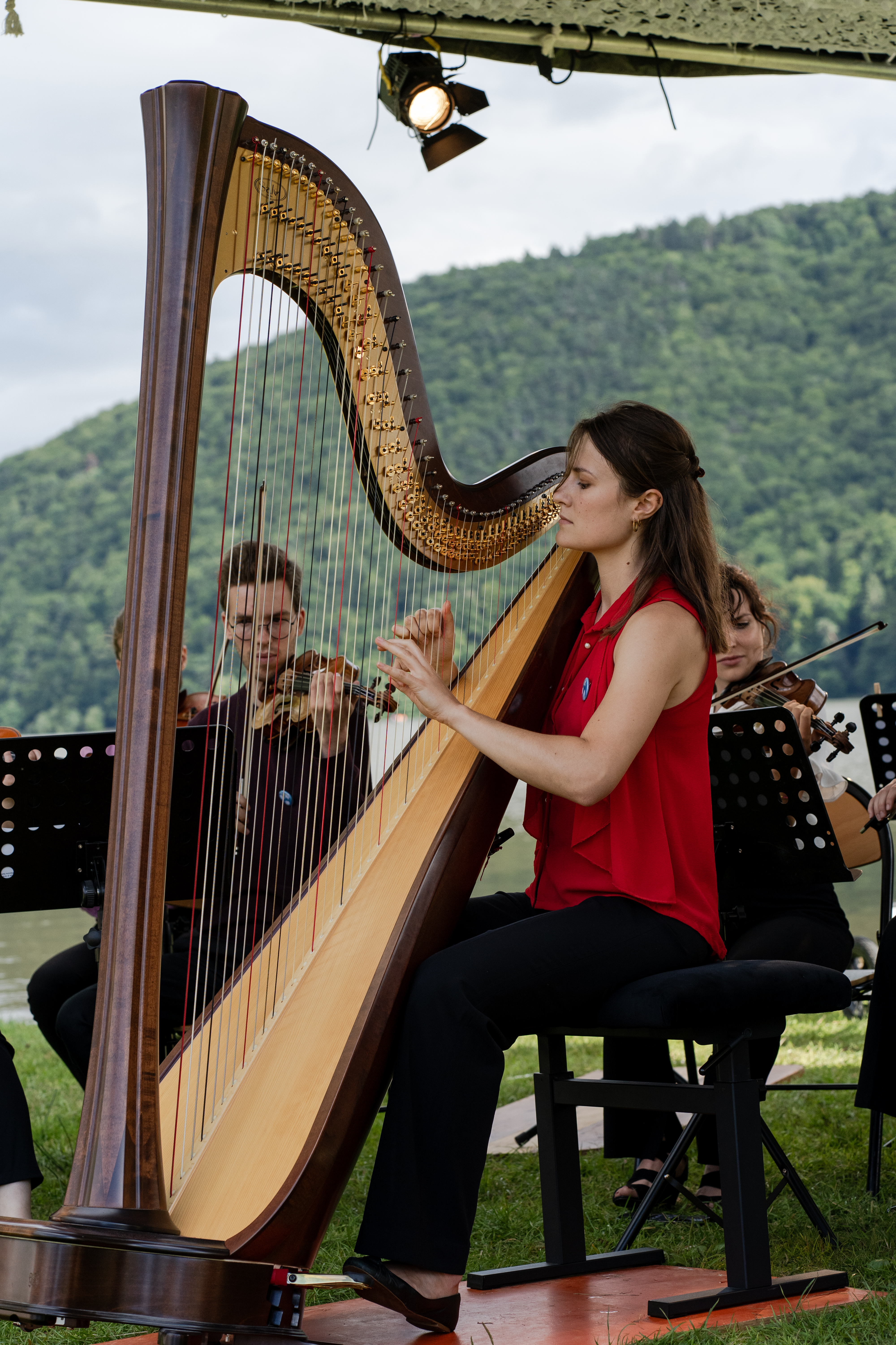 Festival D440 - Image 1