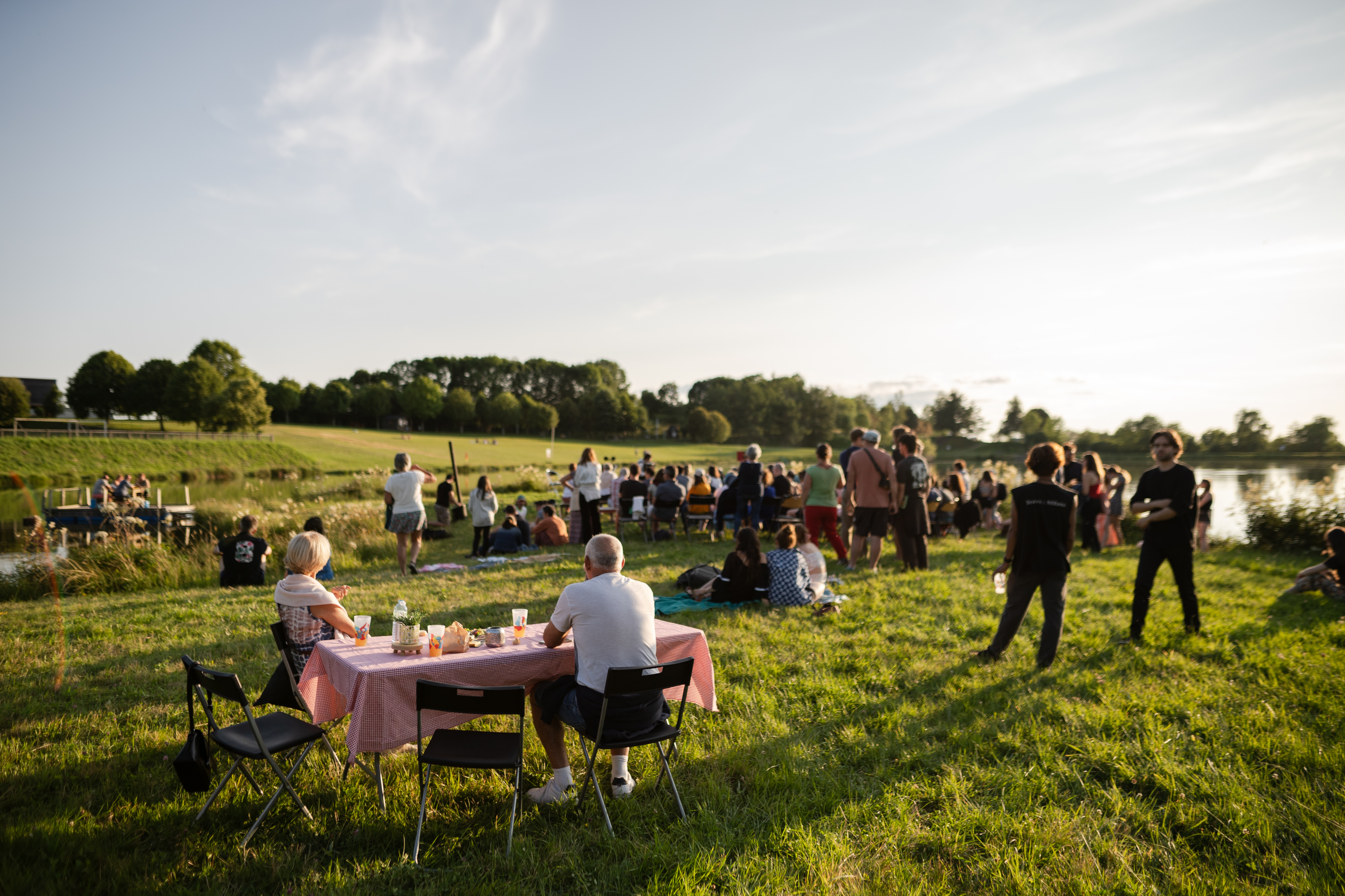 Next: Festival D440 - Image 2